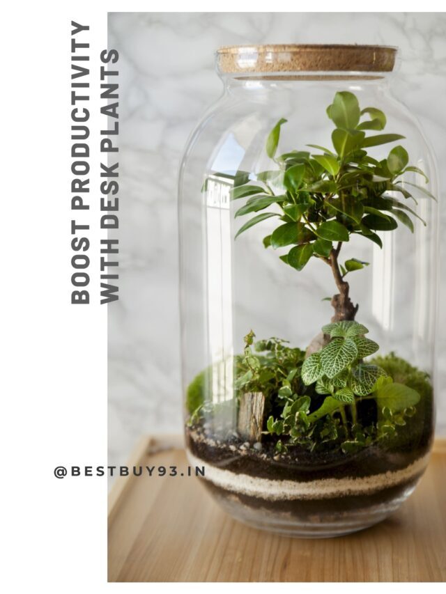 Boost Productivity with Desk Plants