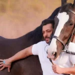 Everything You Need to Know About Salman Khan Style Original Turquoise Firoza Bracelets 5 Salman Khan Style Original Turquoise Firoza Bracelets