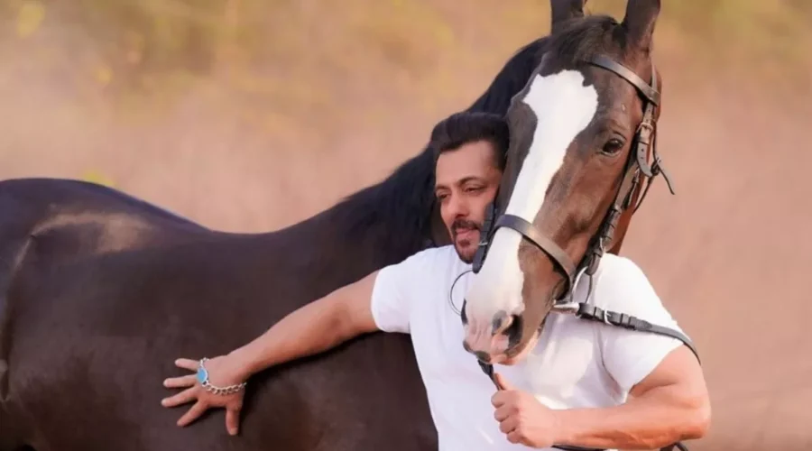 Everything You Need to Know About Salman Khan Style Original Turquoise Firoza Bracelets 11 Salman Khan Style Original Turquoise Firoza Bracelets