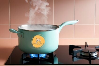 Best Saucepan from Amazon: The One I Swear By in My Kitchen 2 Saucepan