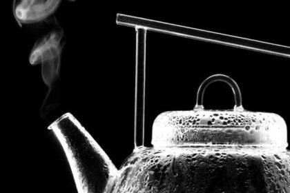 Stories 7 Teapots from Amazon Way More Vibe Than a Boring Saucepan Web Story