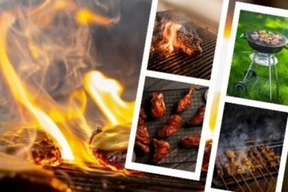 Stories 5 Barbeque Grill