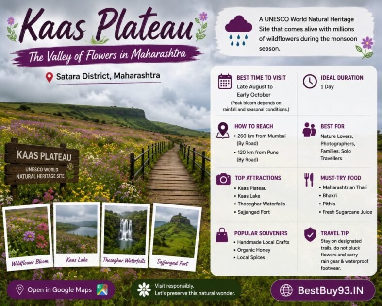 7 Best Places to Visit in Maharashtra During Monsoon AI 7