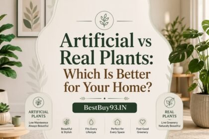 Artificial vs Real Plants Which Is Better for Your Home FI