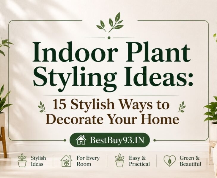 Indoor Plant Styling Ideas 15 Stylish Ways to Decorate Your Home FI