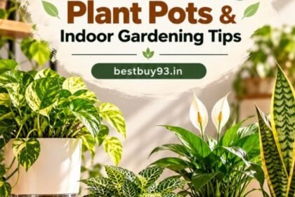Best Self-Watering Plant Pots & Indoor Gardening Tips Insta Story Size